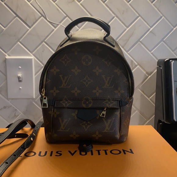 Louis Vuitton Palm Springs Mini (old zipper) - Picture 2 of 13